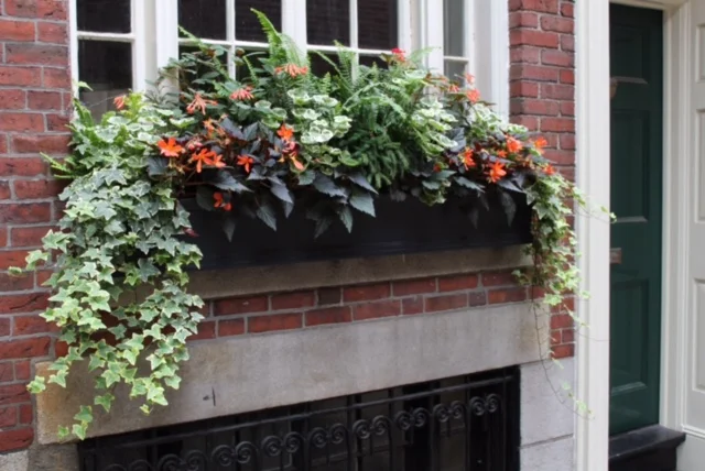 boston flower delivery