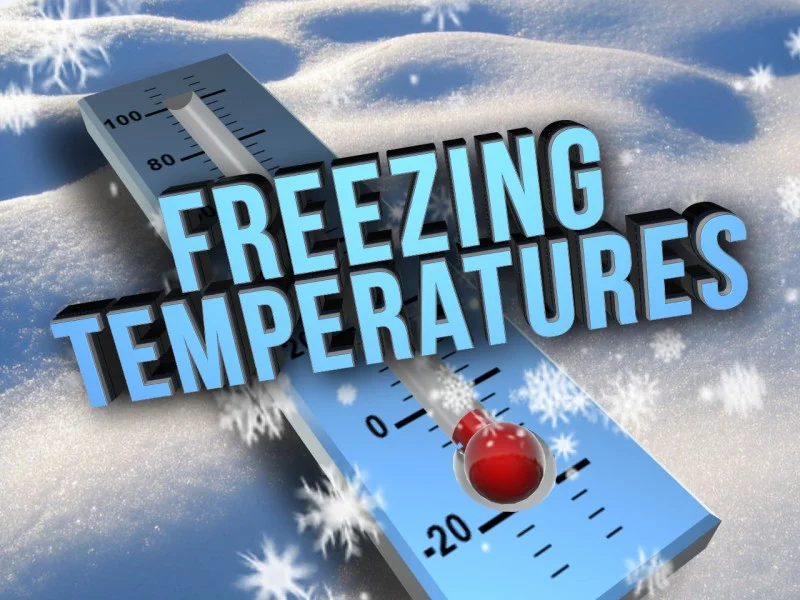 freeze.jpg