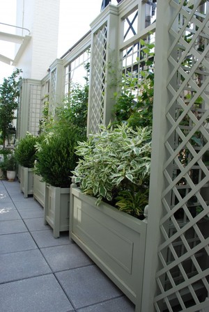 Roof Deck Container Planting 