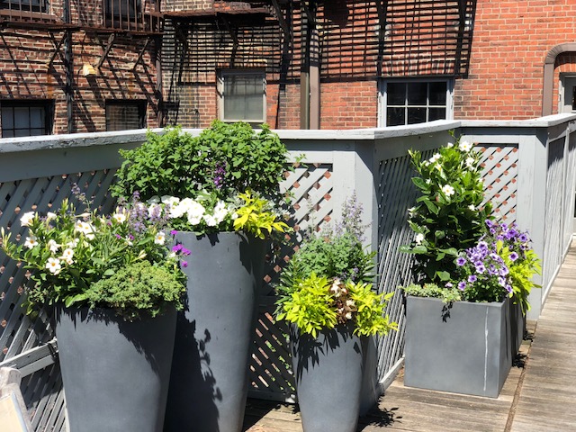 Container Planting Design Boston