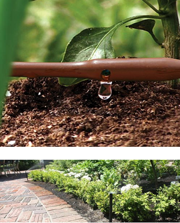 Irrigation1.png
