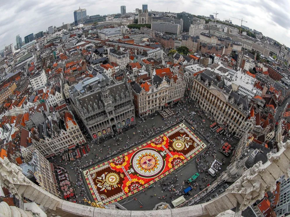 Flower Carpet 1.jpg