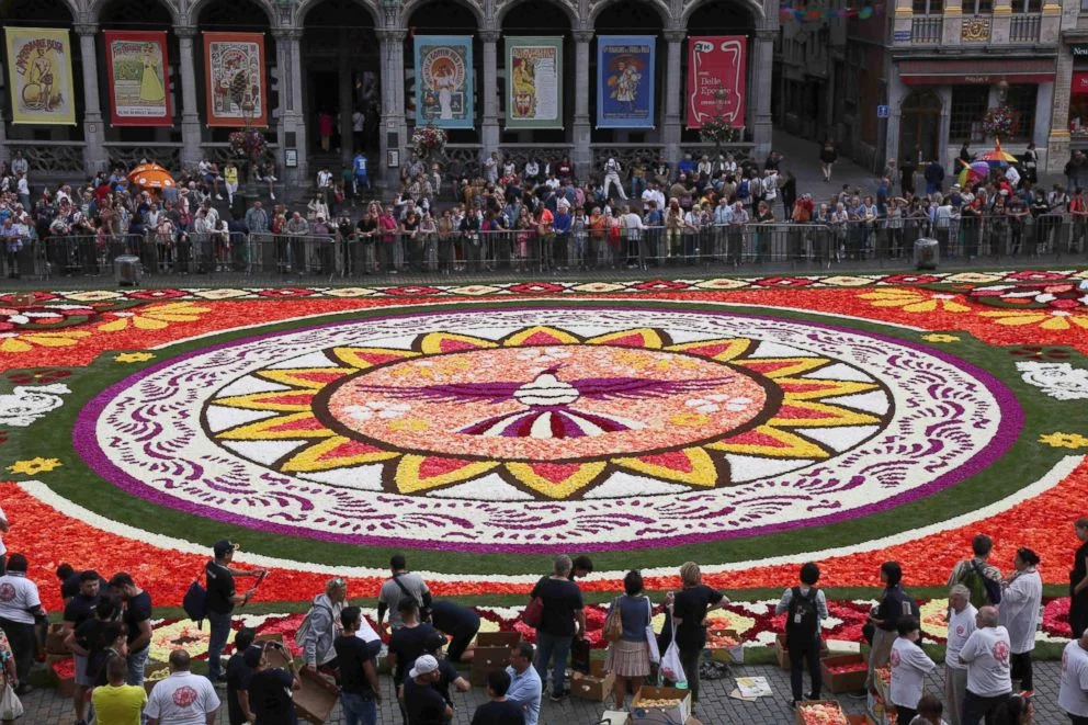 Flower Carpet 3.jpg