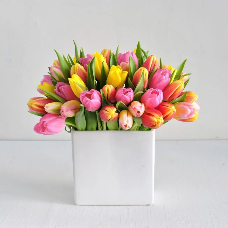 A selection of spring toned tulips are gathered in a white ceramic vase. Our designers will choose the freshest of tulips to create a spring mix in varying colors. Shades of pinks, creams, yellows, oranges, whites and more will be available throughout the season. Originally $65 now only $55