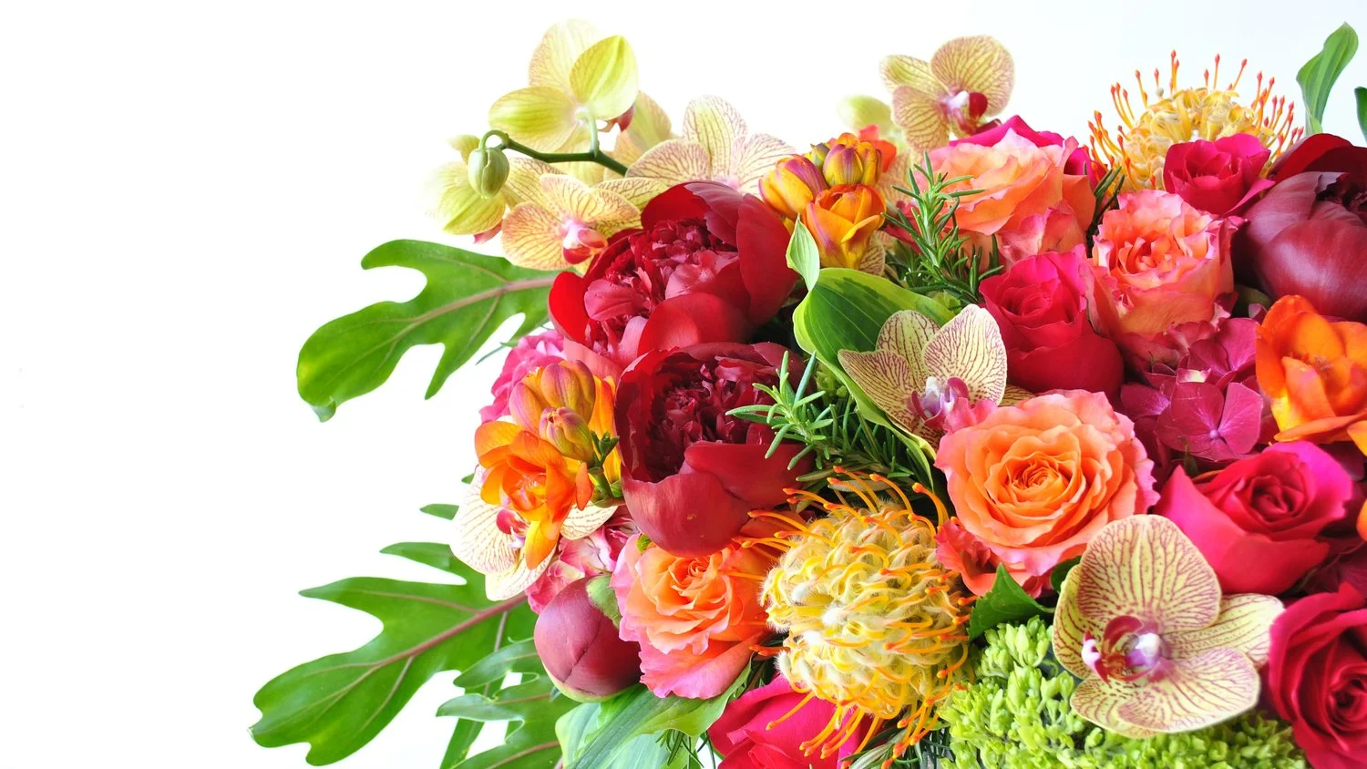 ‘Aperol Spritz’ showcasing stunning Hot Explorer and Free Spirit roses tucked among June flowers.