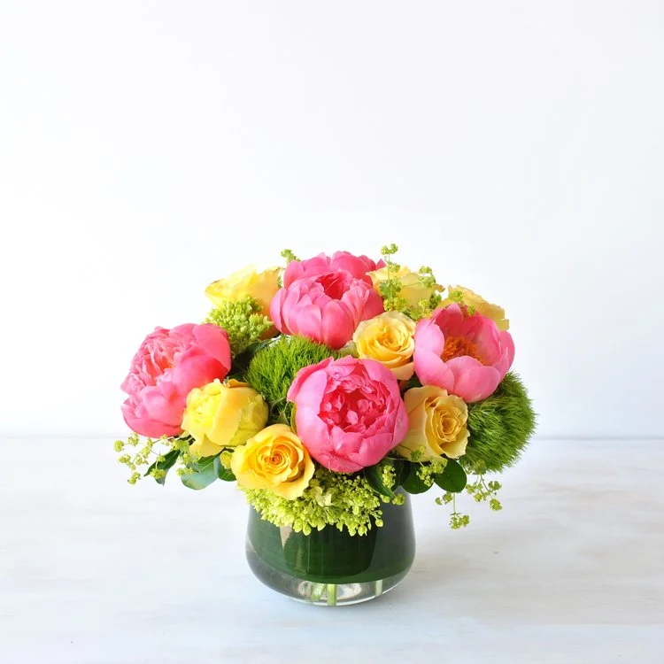 Peony in Boston
