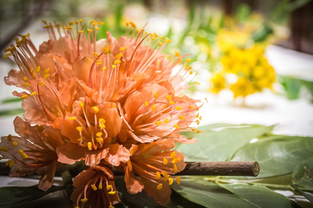 glass flowers 3.jpg