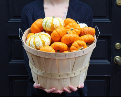 pumpkin.png