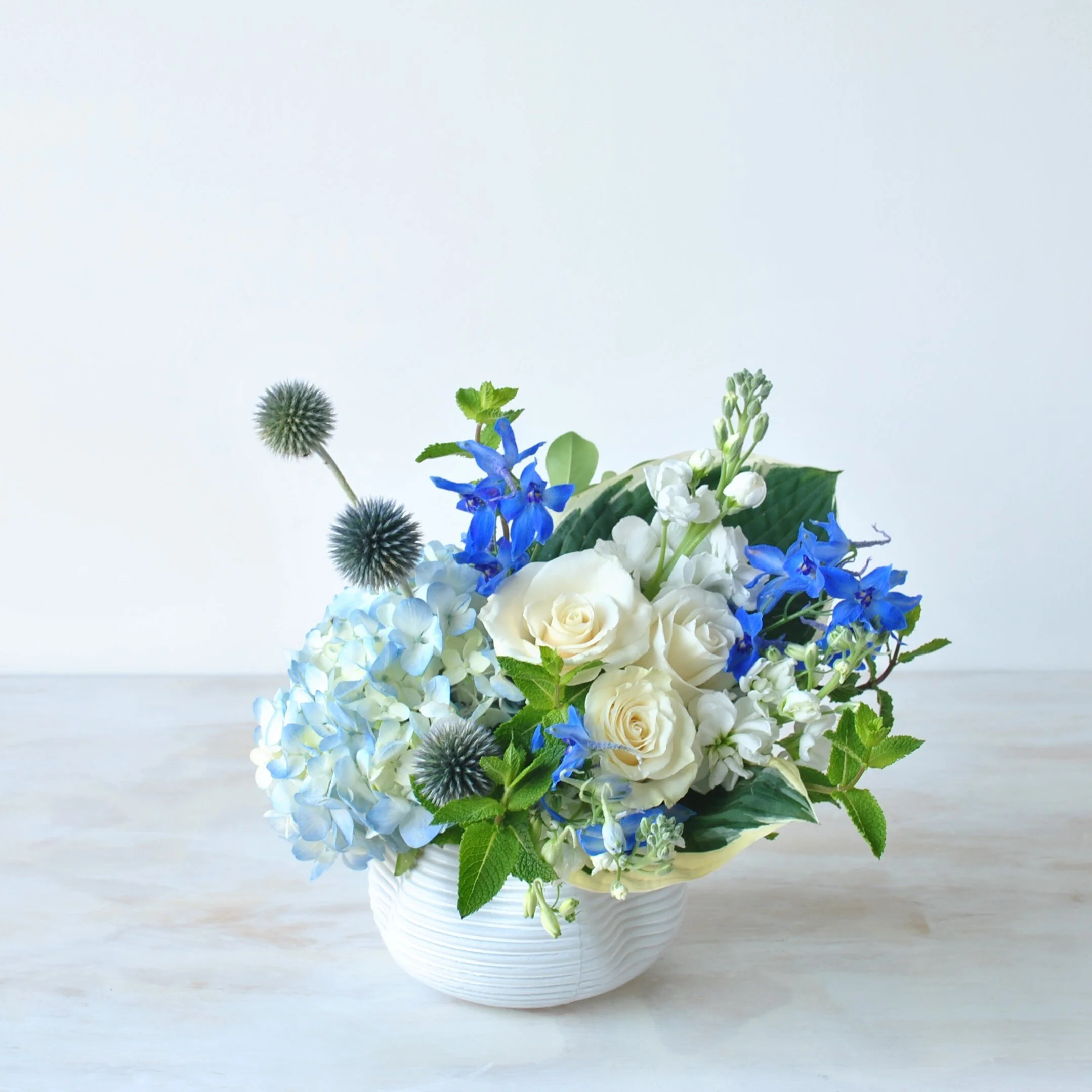 Rouvalis Flowers & Gardens, Boston's Luxury Florist Offering Flower Delivery, Plants, Garden