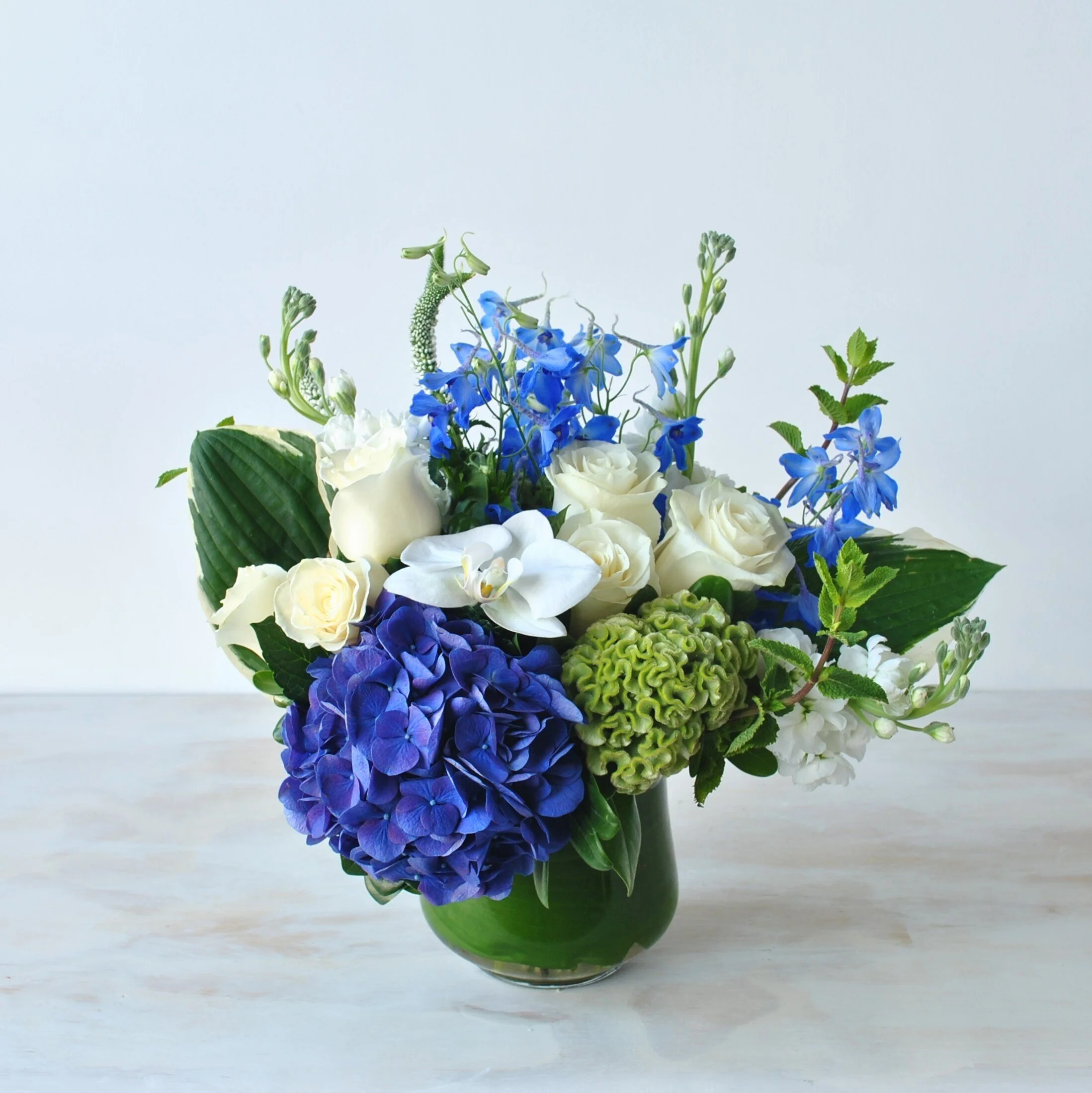 Rouvalis Flowers & Gardens, Boston's Luxury Florist Offering Flower Delivery, Plants, Garden