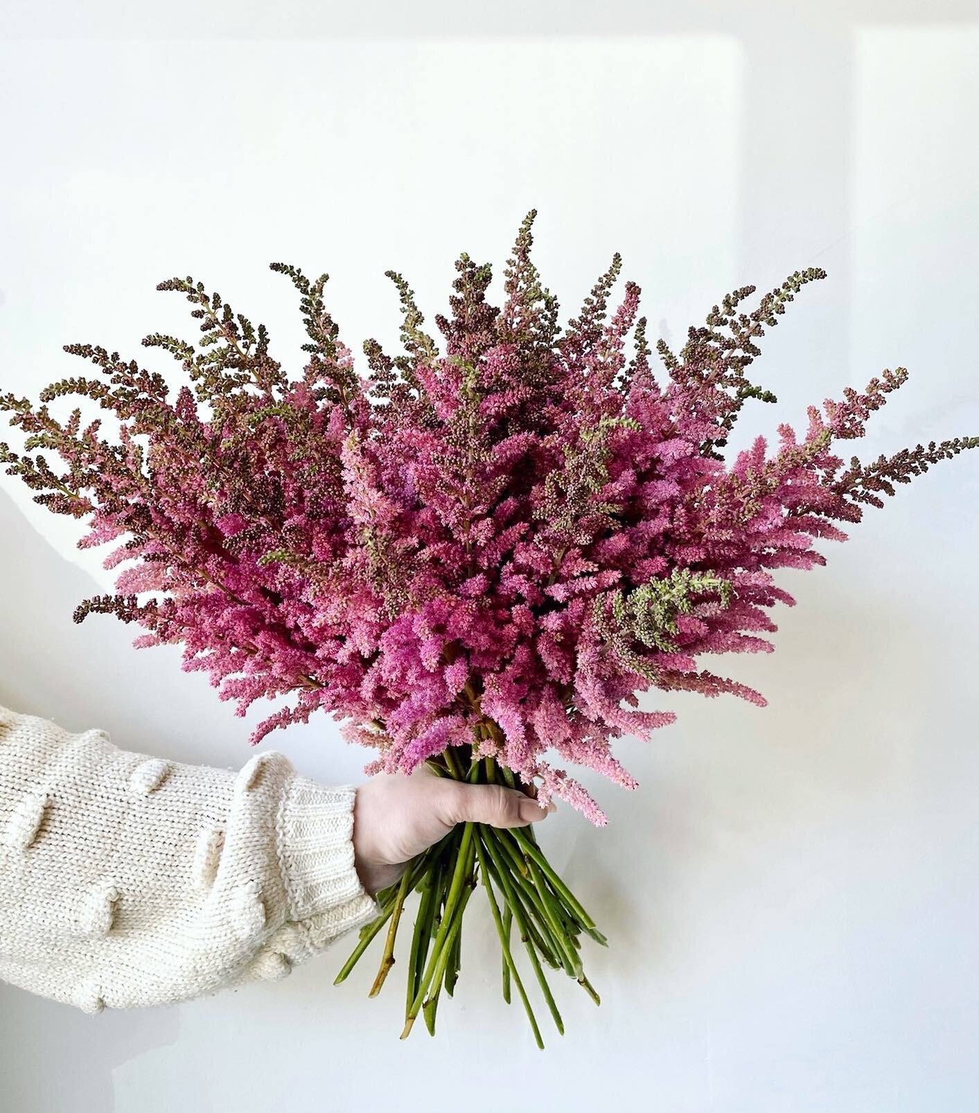 🚨Trivia Thursday🚨 Can you guess how many stems of astilbe are in this bunch?!

Be the first to guess the closest number and win a prize for pick up in Beacon Hill! Winner announced on Friday! 🤍