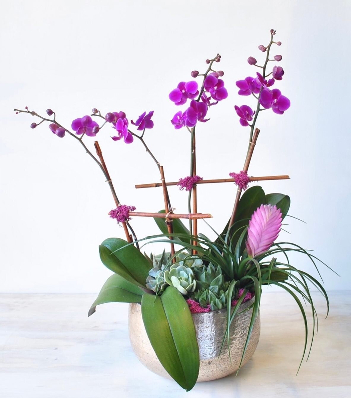 Endless Romance is a gorgeous long lasting orchid planter that continues to spark joy well past Valentine&rsquo;s Day 💕 Shop via link in bio 💕