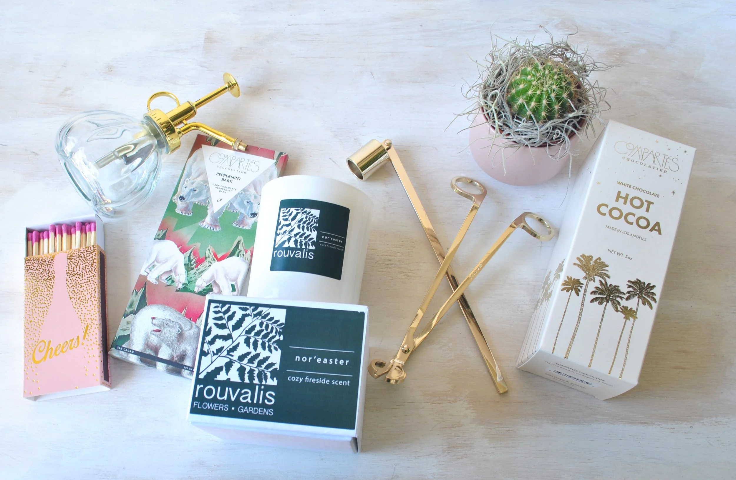 Plant Delivery In The Greater Boston Area. Houseplants & Orchids Hand