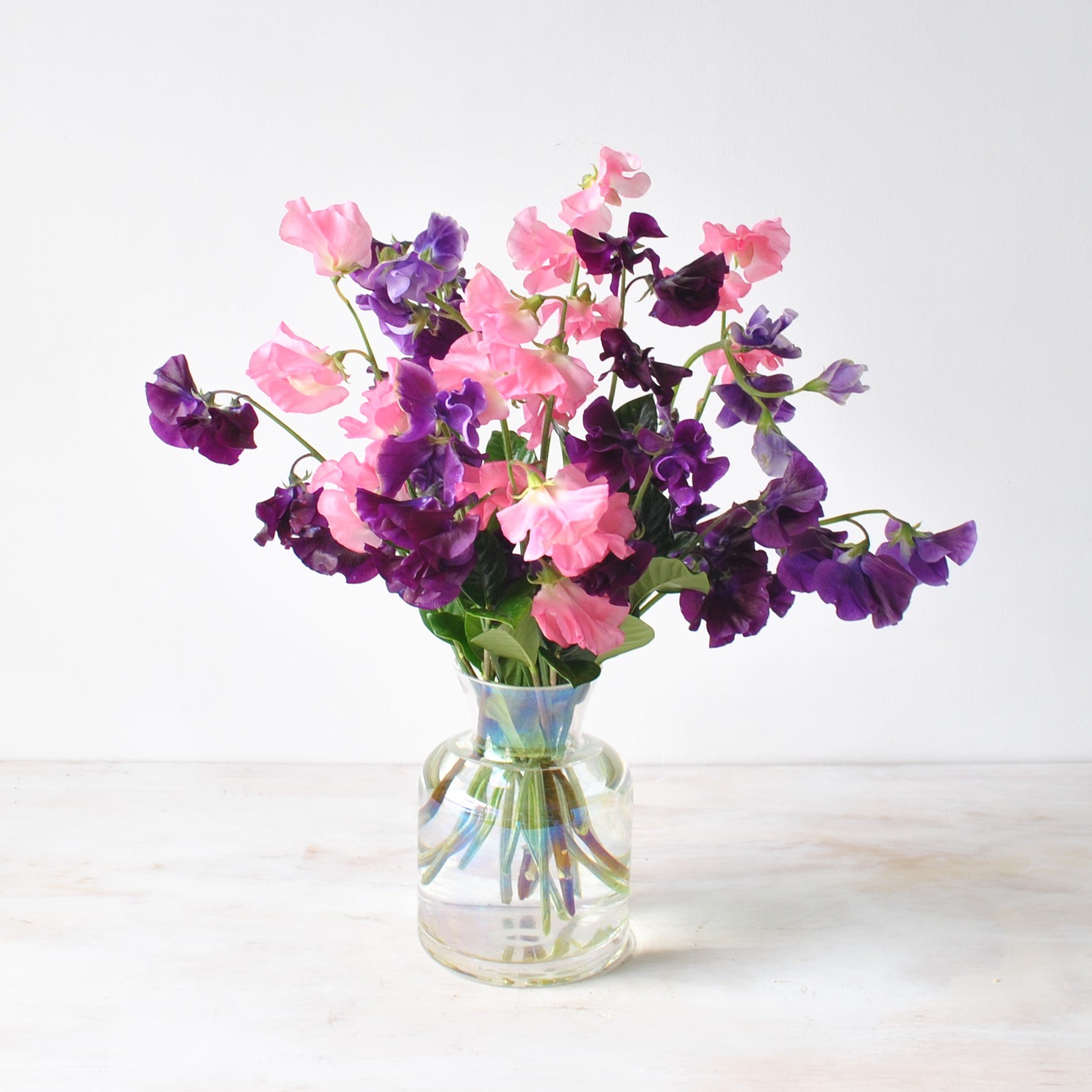 spring flowers delivery same day