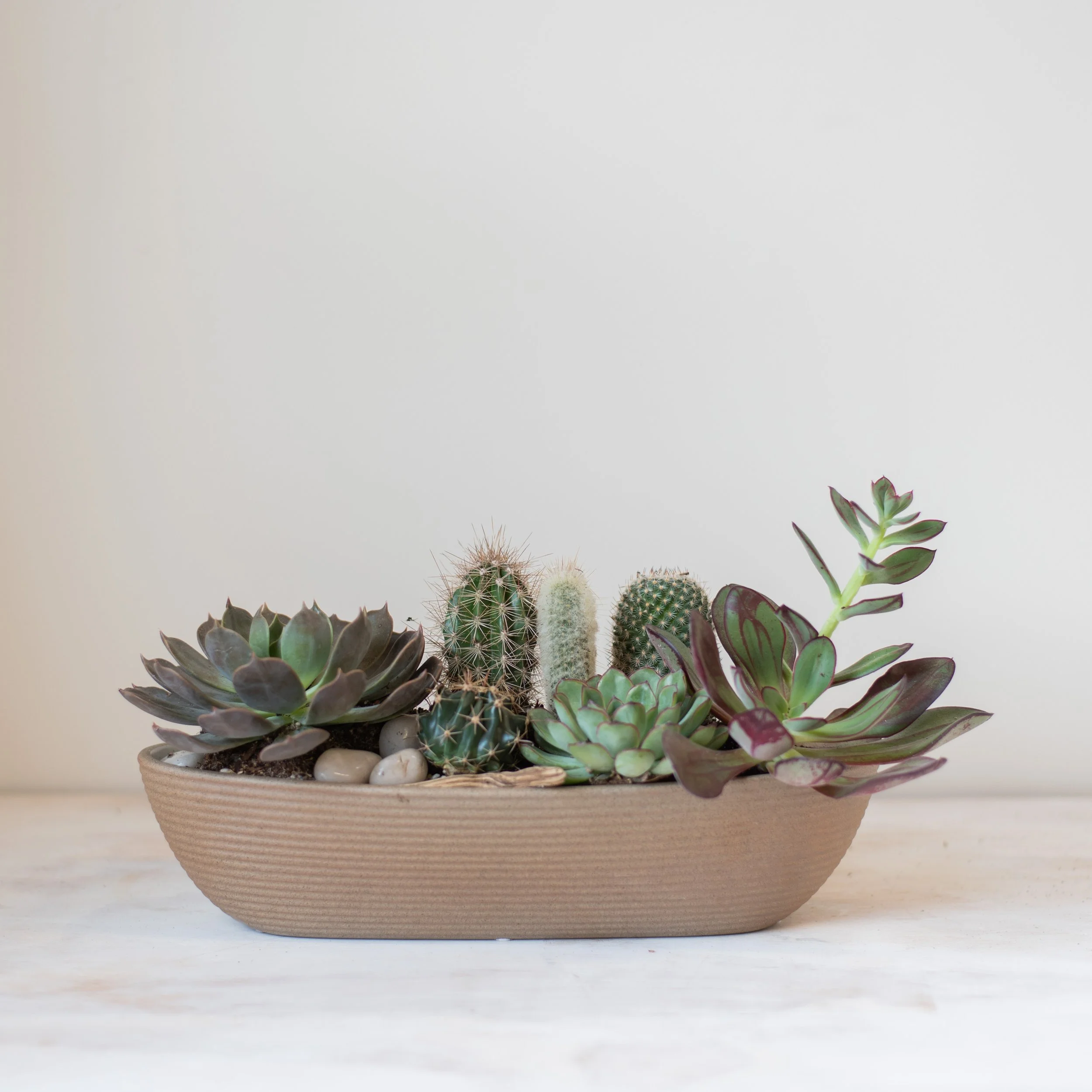 Oval Desert Planter