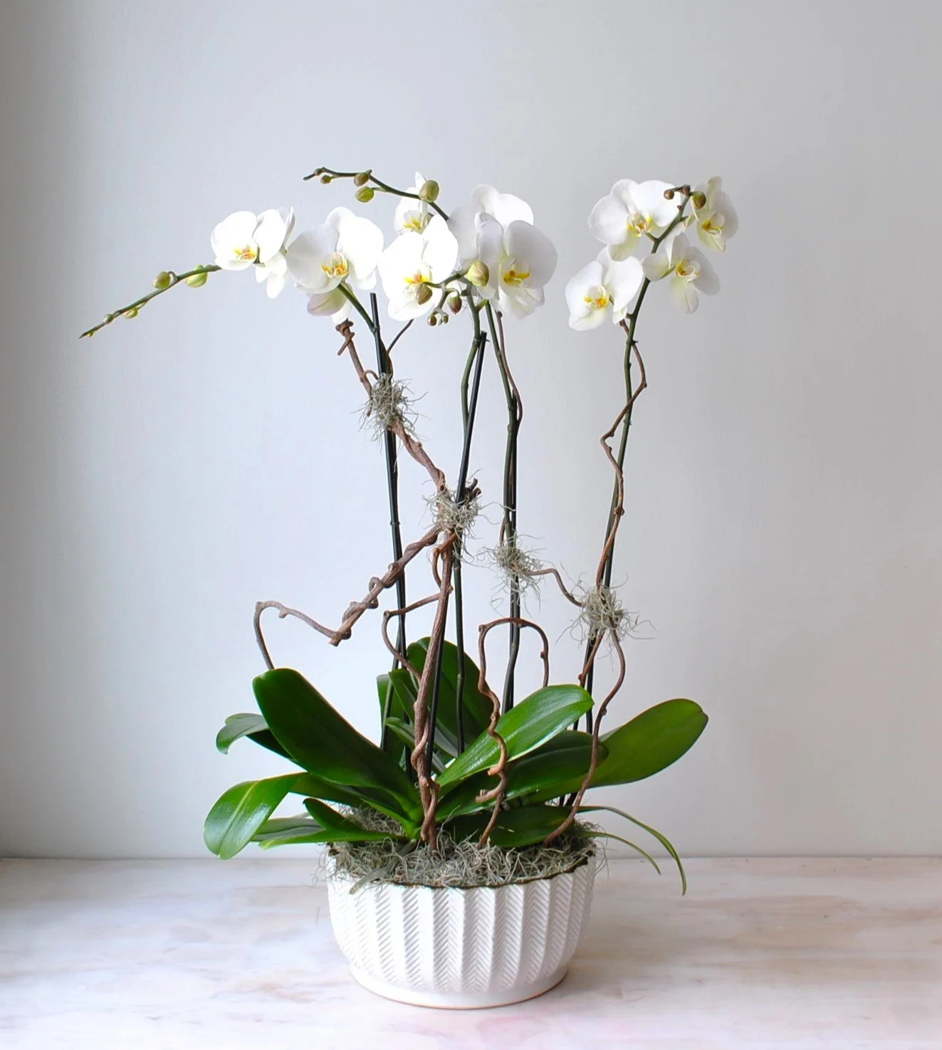 lobby hotel grand planters with orchids and gifts