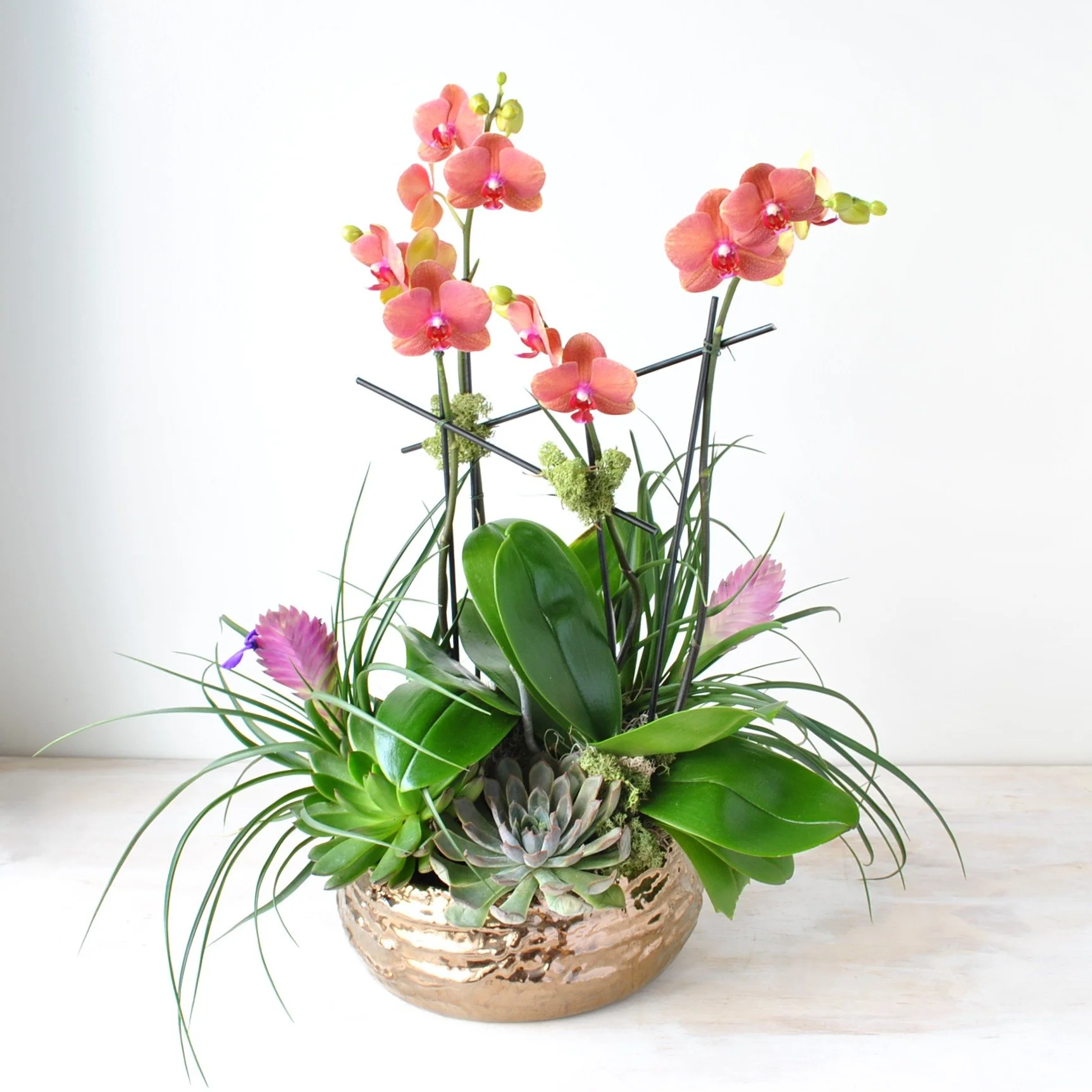 Sunset Orchid Planter