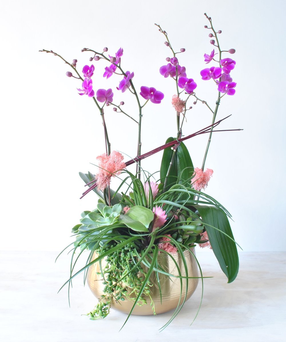 Rouvalis Flowers & Gardens Bostons Leading Florist Offering Delivery