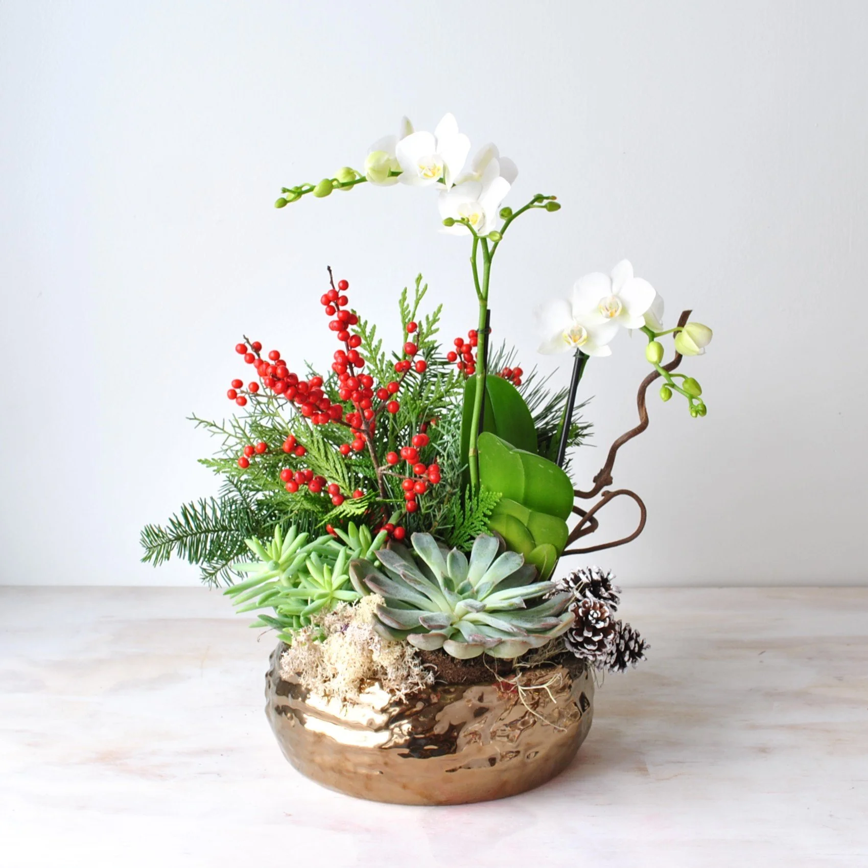 white orchid christmas planters