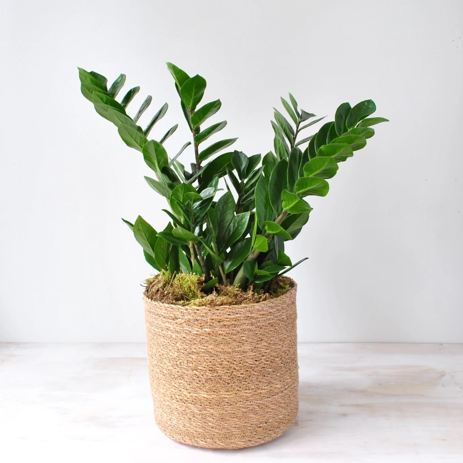 rouvalis flowers florist in beacon hill boston