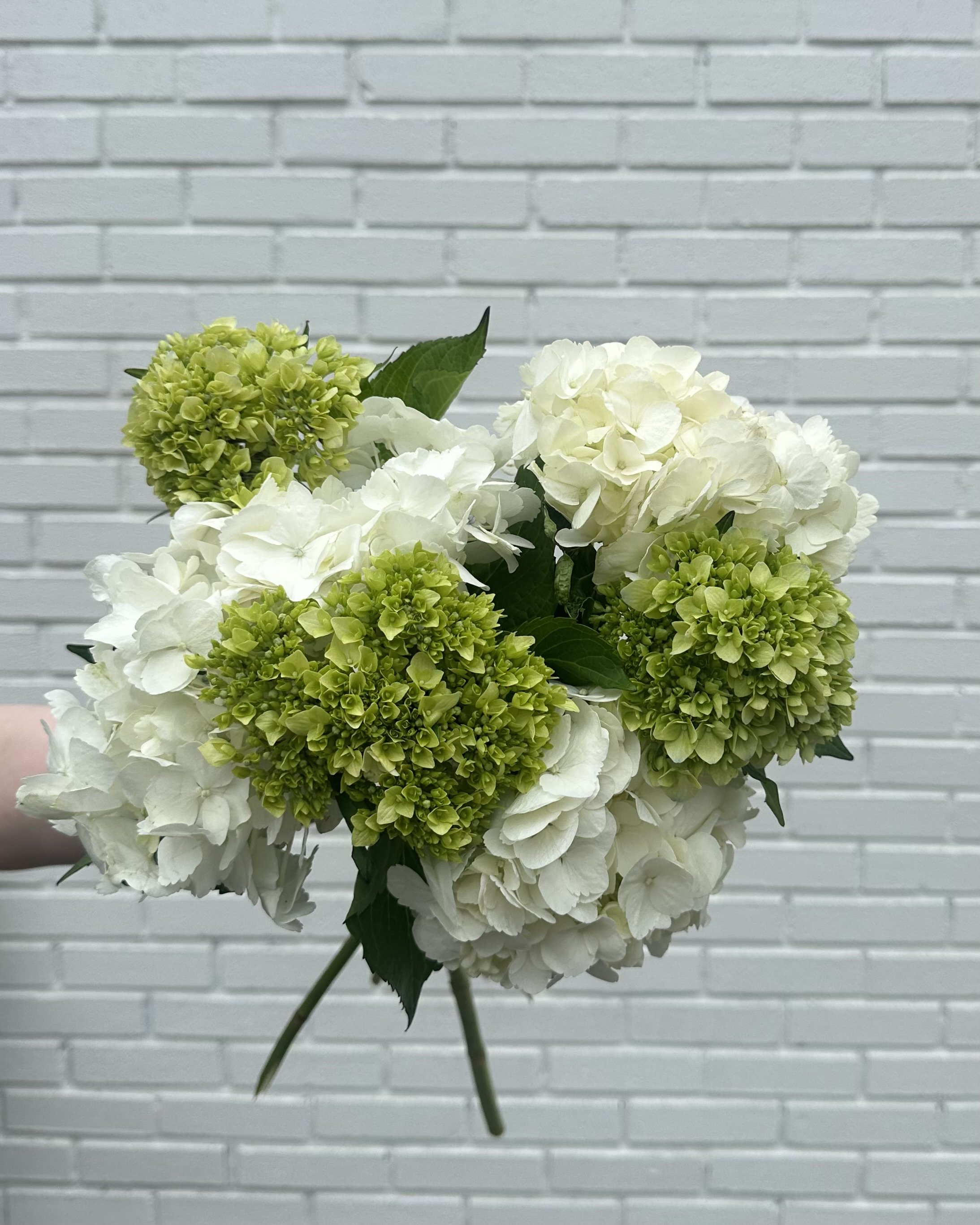 hydrangea wedding bouquet for pickup beacon hill boston, ma