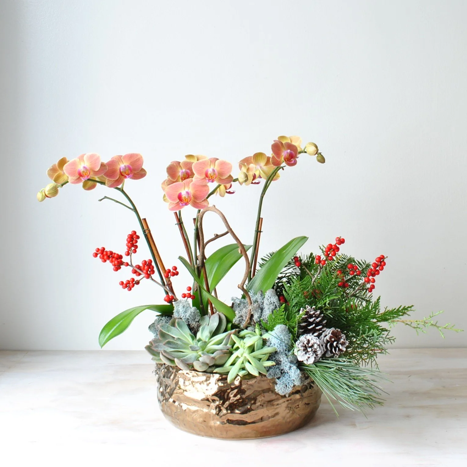 orchid planter delivered same day boston