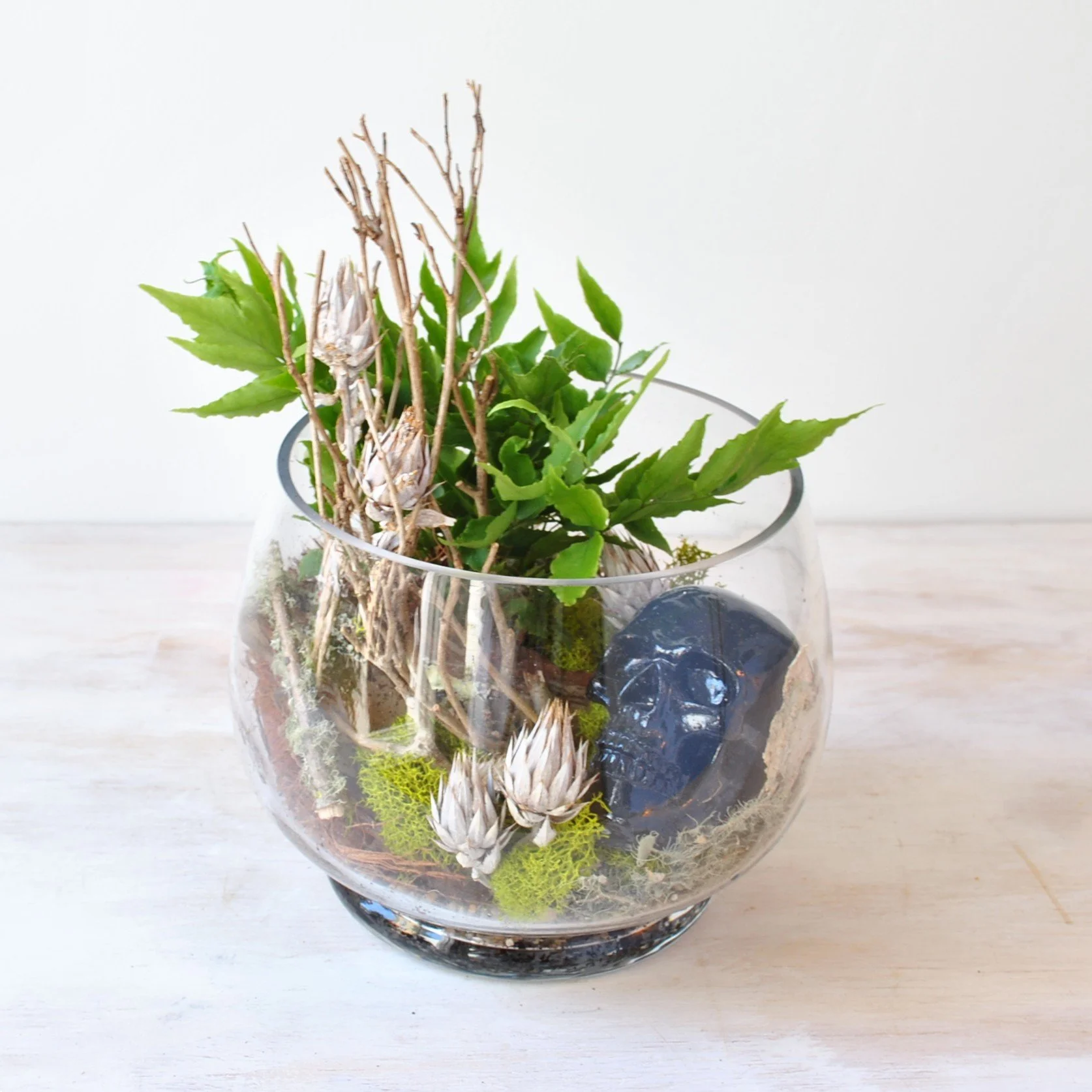 terrarium halloween gift decor delivered boston ma