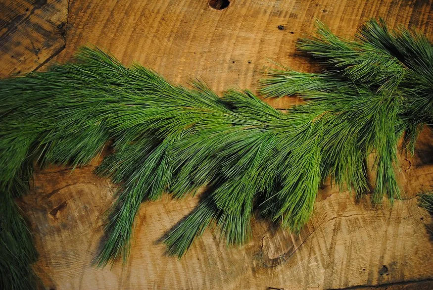 Pine Garland Boston