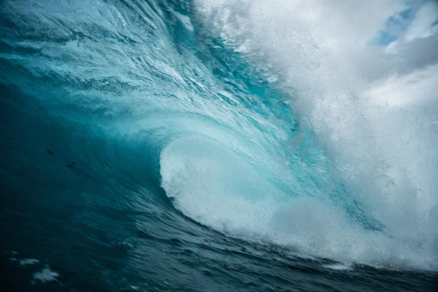 Nunca pens&eacute; que podr&iacute;a decir esto pero en los tiempos que corren, cada vez los seres humanos tenemos menos esperanza de vida. Estamos llevando al mundo a una destrucci&oacute;n donde casi estamos en el punto de no retorno. Las masacres 