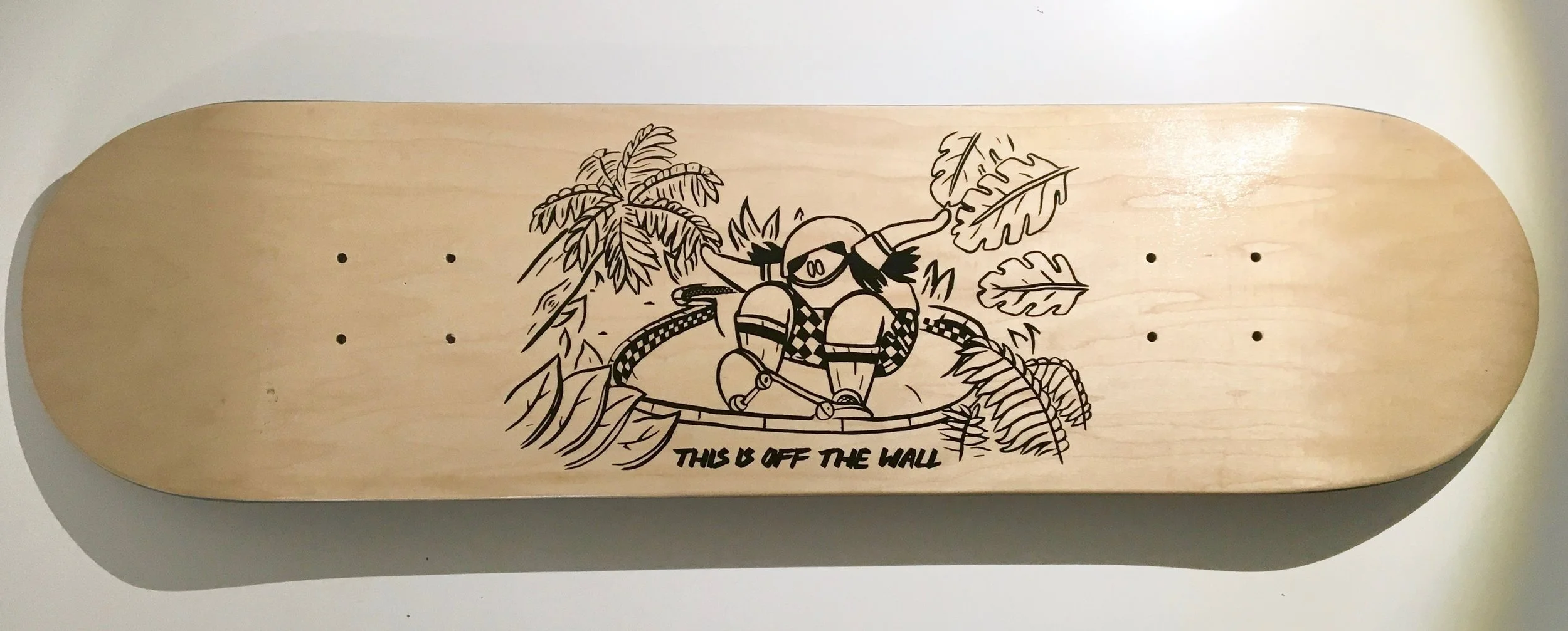 vansboards - 1.jpg