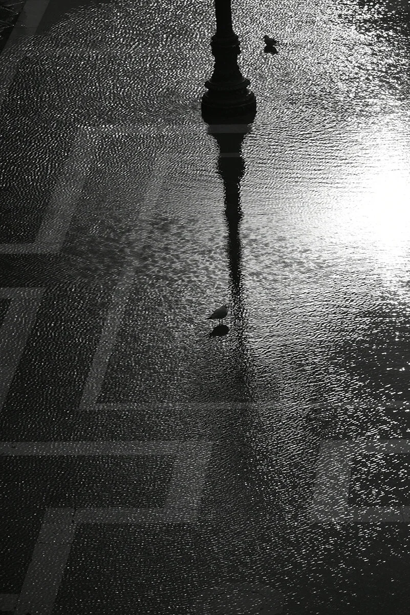 _DSC7680web.jpg