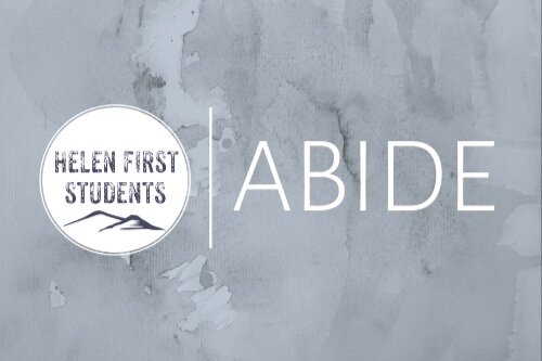 ABIDE.jpg