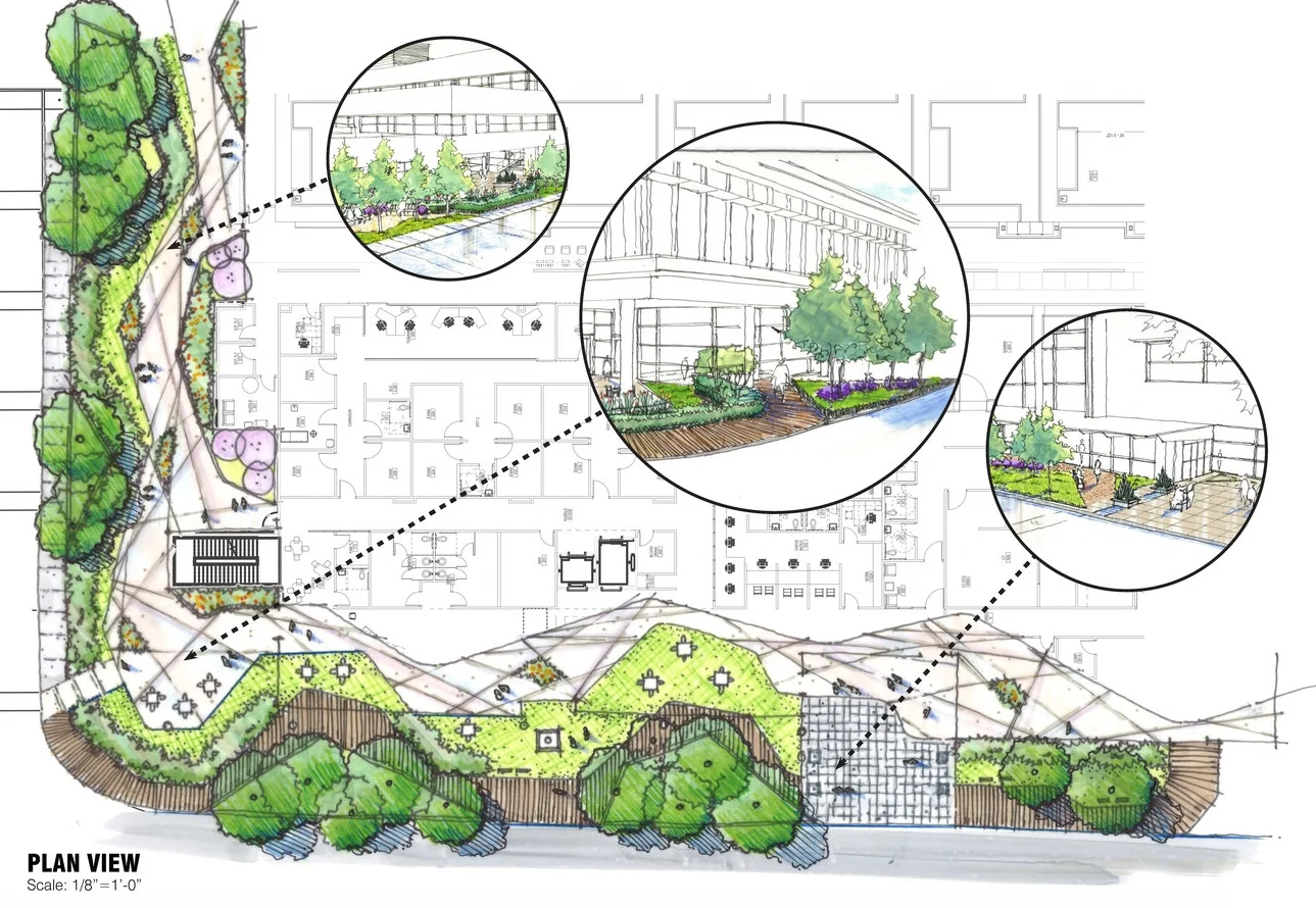 20150112 DD Landscape Small_Page_2.jpg