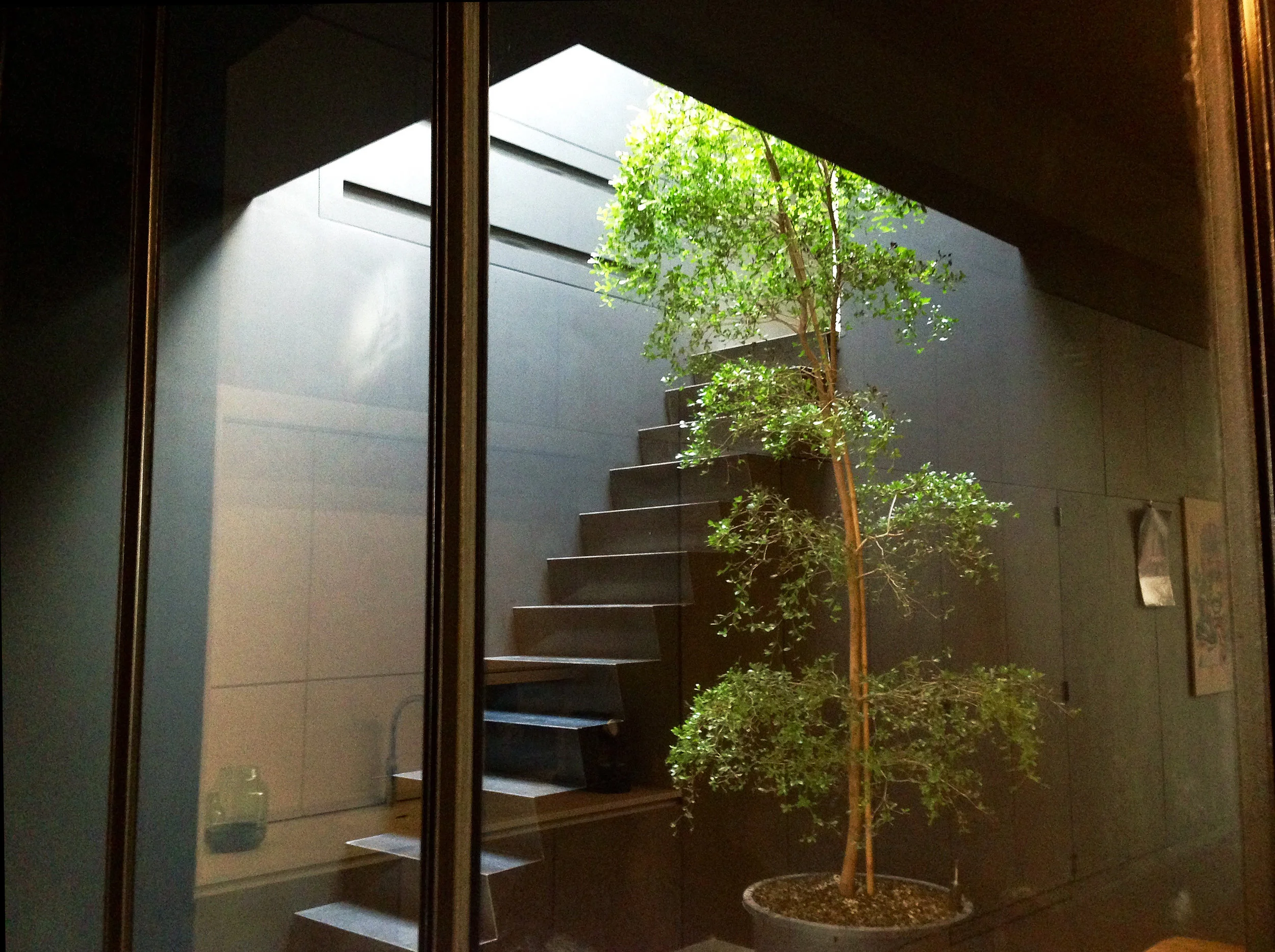 Nature moves in at Alvin's studio