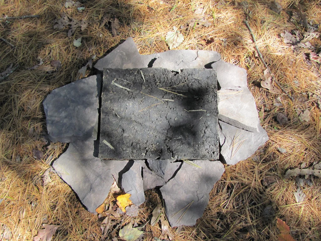 Landscape Reincarnate, detail