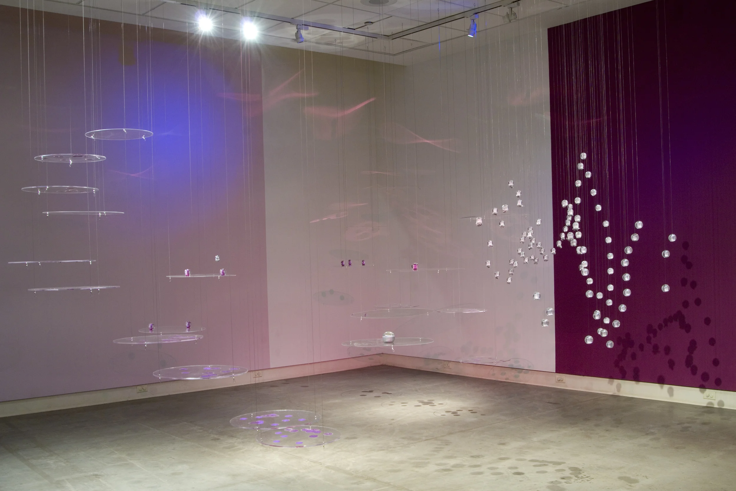 Opal Relic, 2008, Plastic, nail polish, coated steel string, wood, dimensions variable