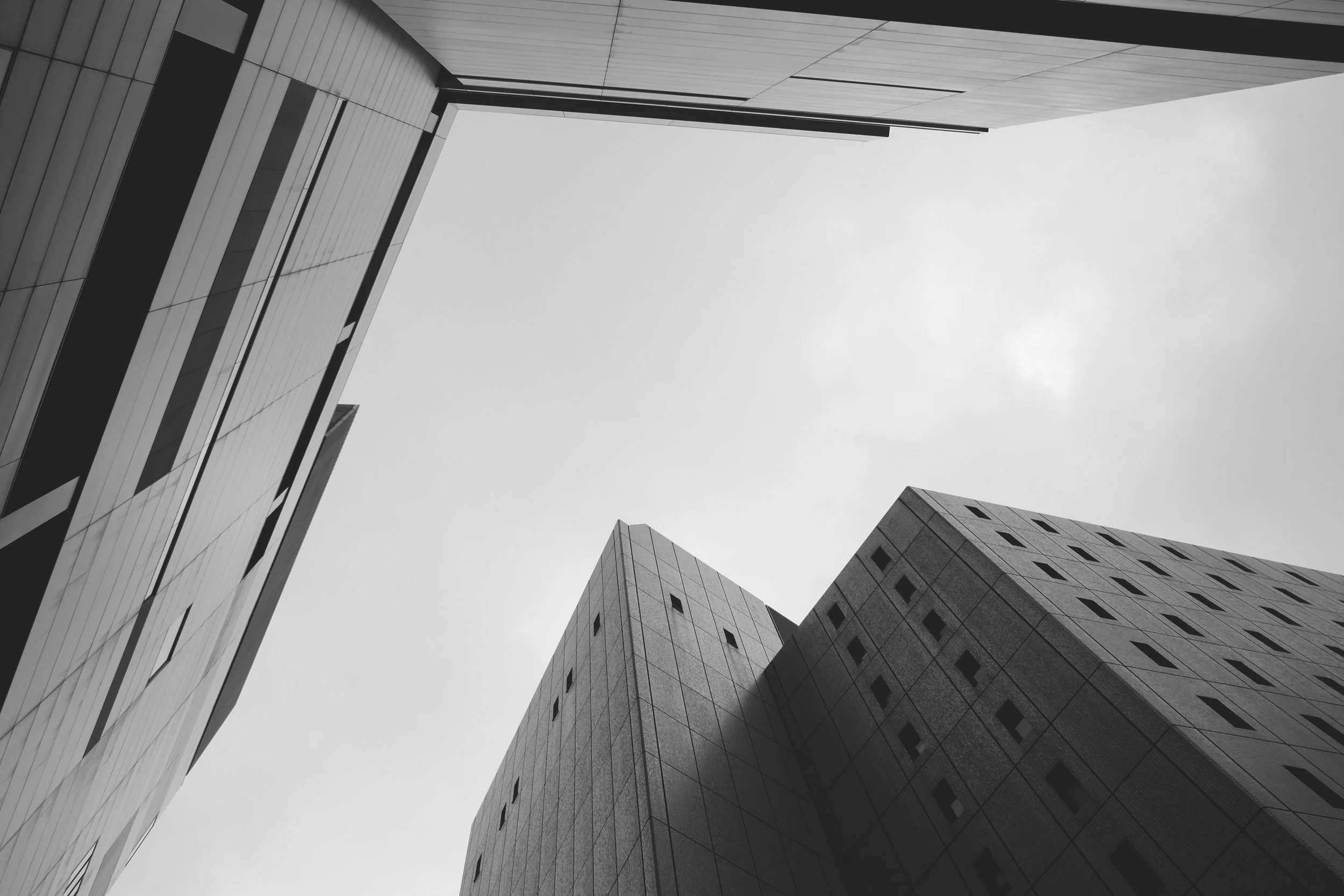 DSCF6310.jpg