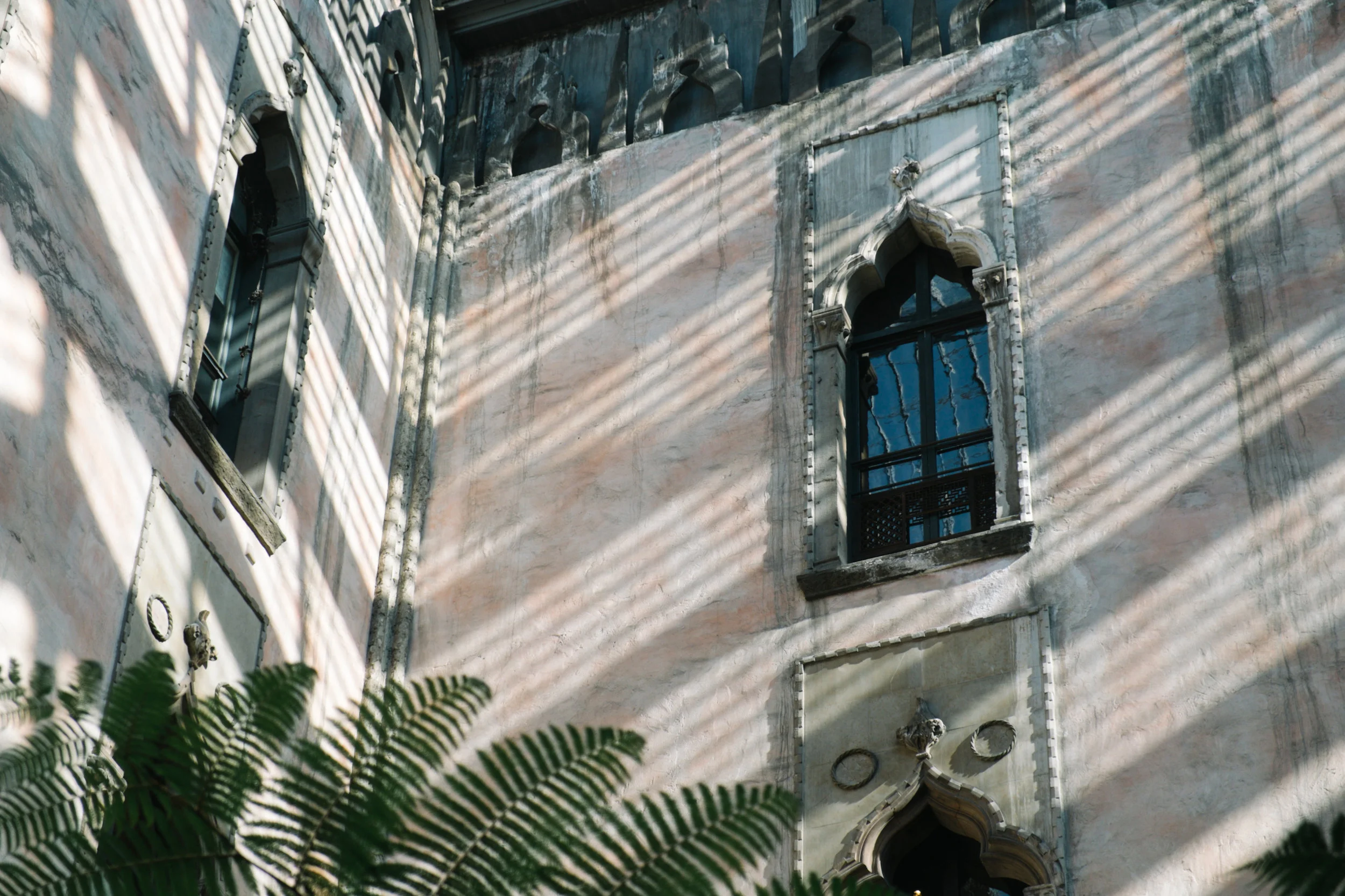 DSCF9659.jpg