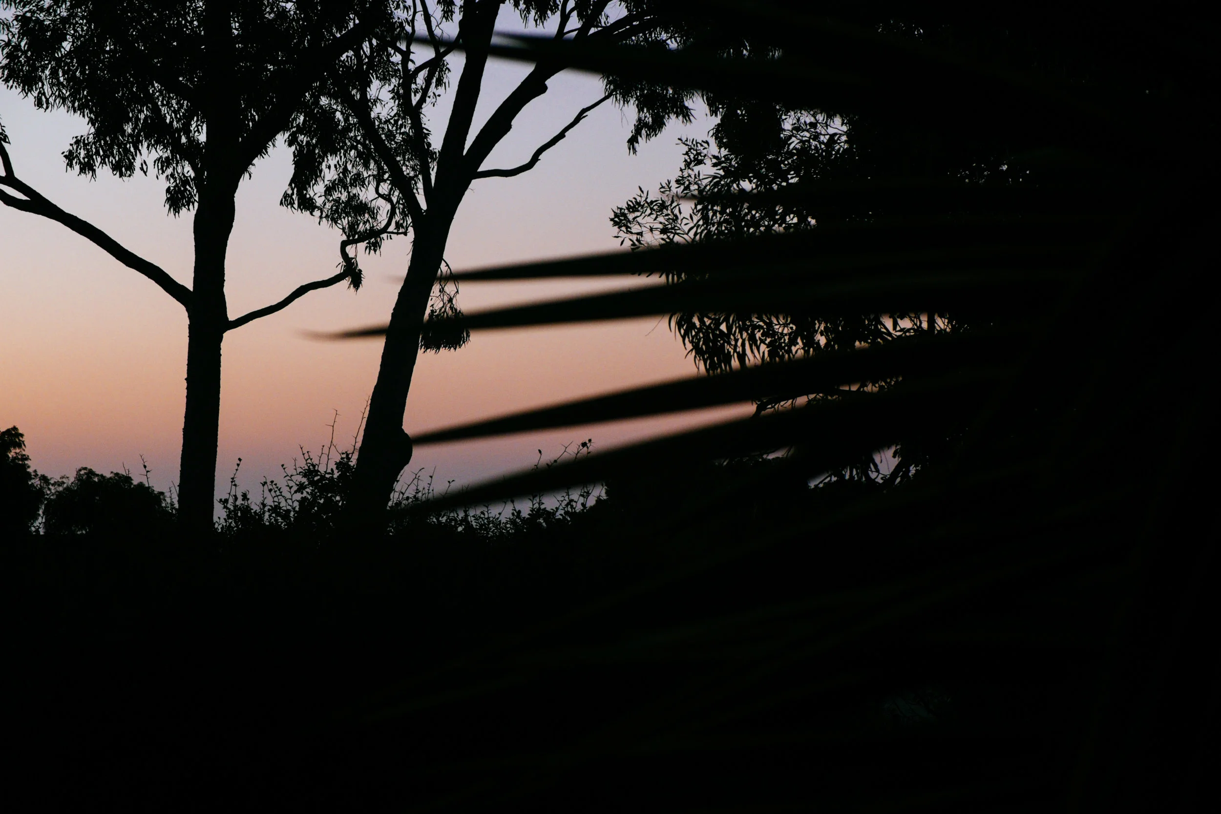 DSCF1271.jpg