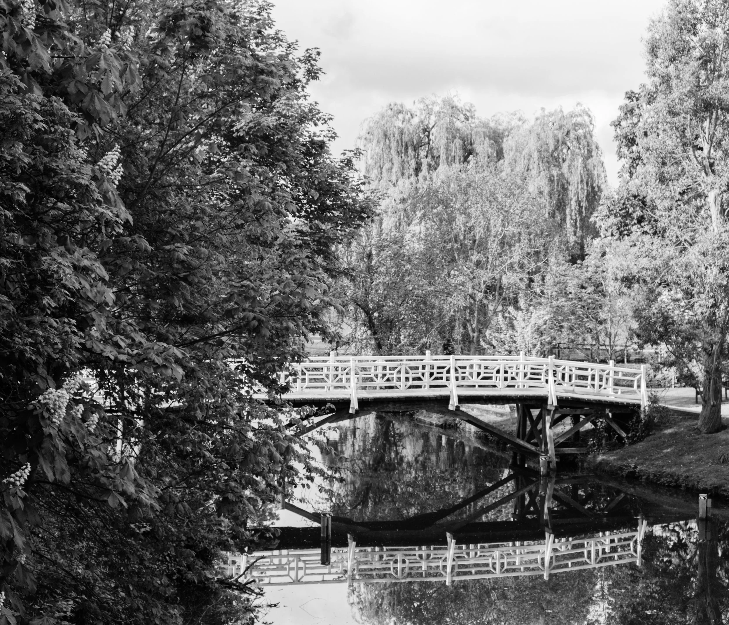 DSCF0370.jpg