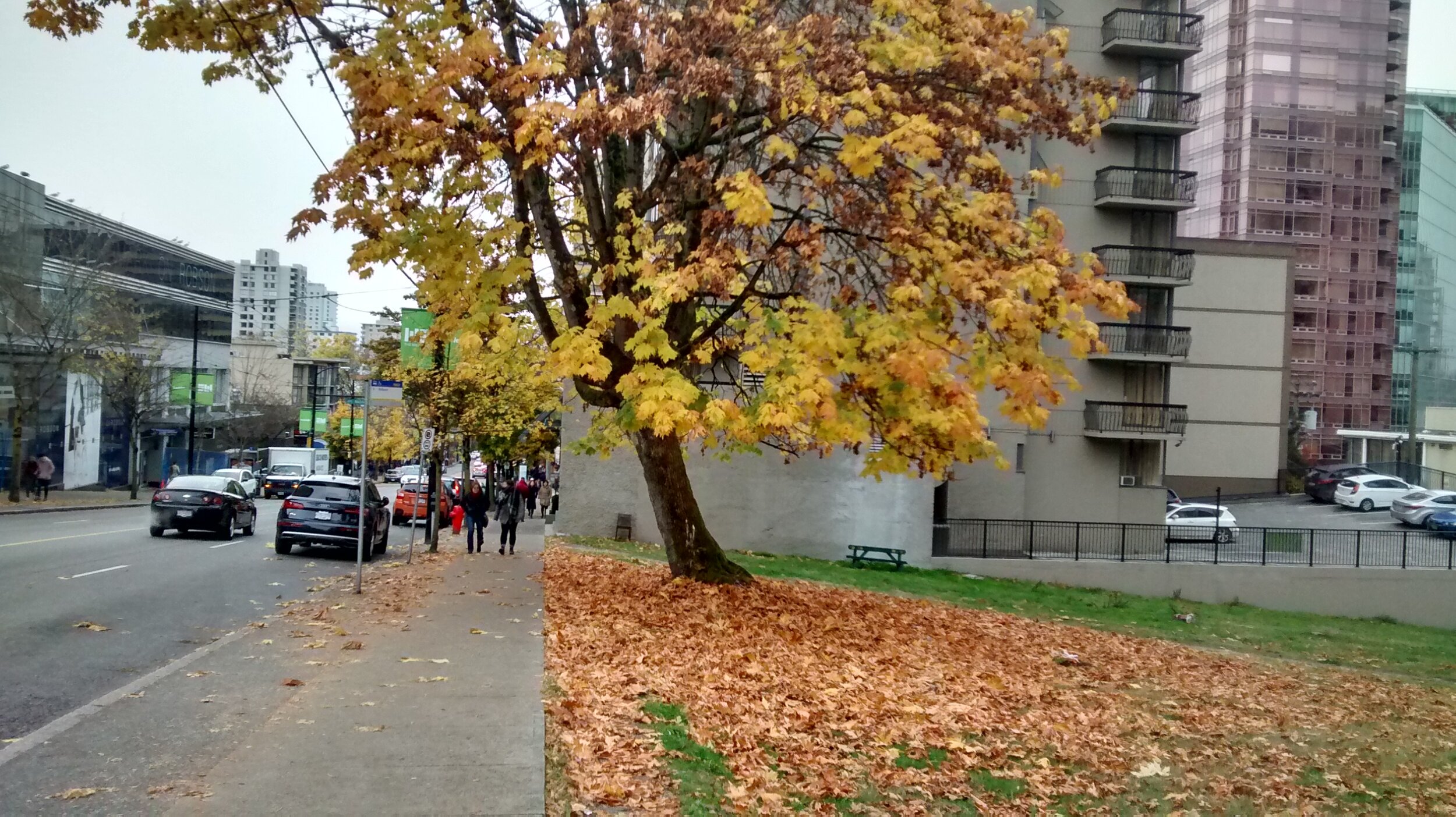 IMG_20171104_150112712_HDR.jpg