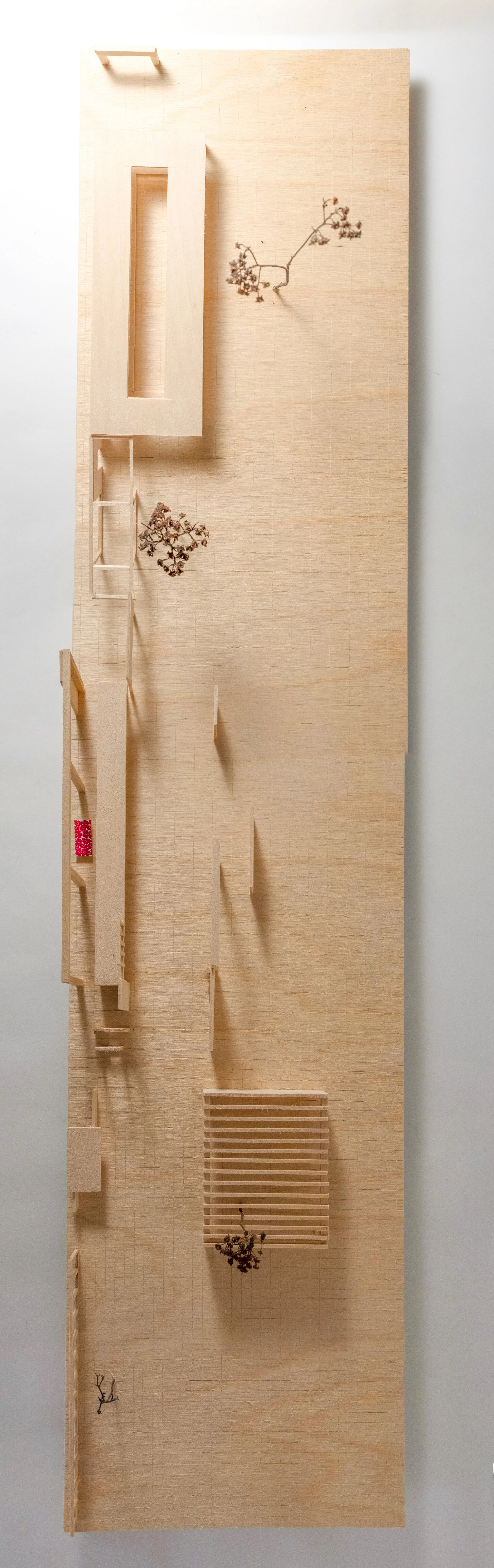Site sequence unrolled model, basswood and plywood.