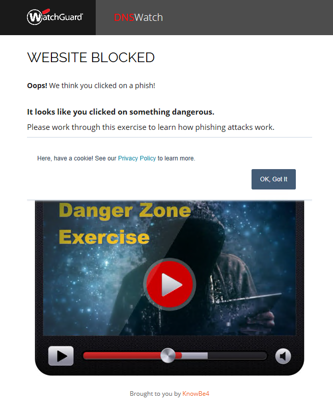 WatchGuard anit-phishing Training Video Portal image