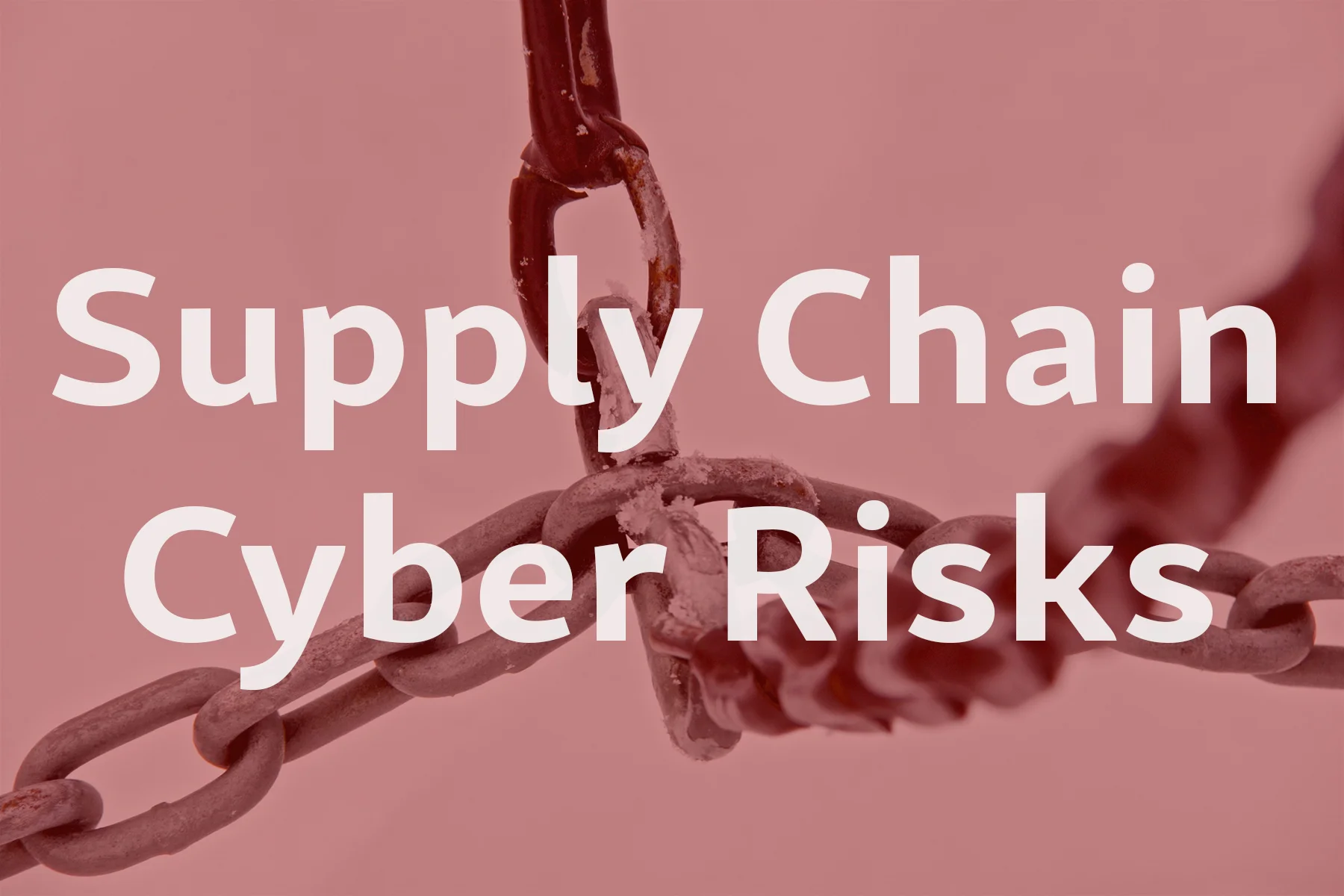Supply Chain Cyber Risk image
