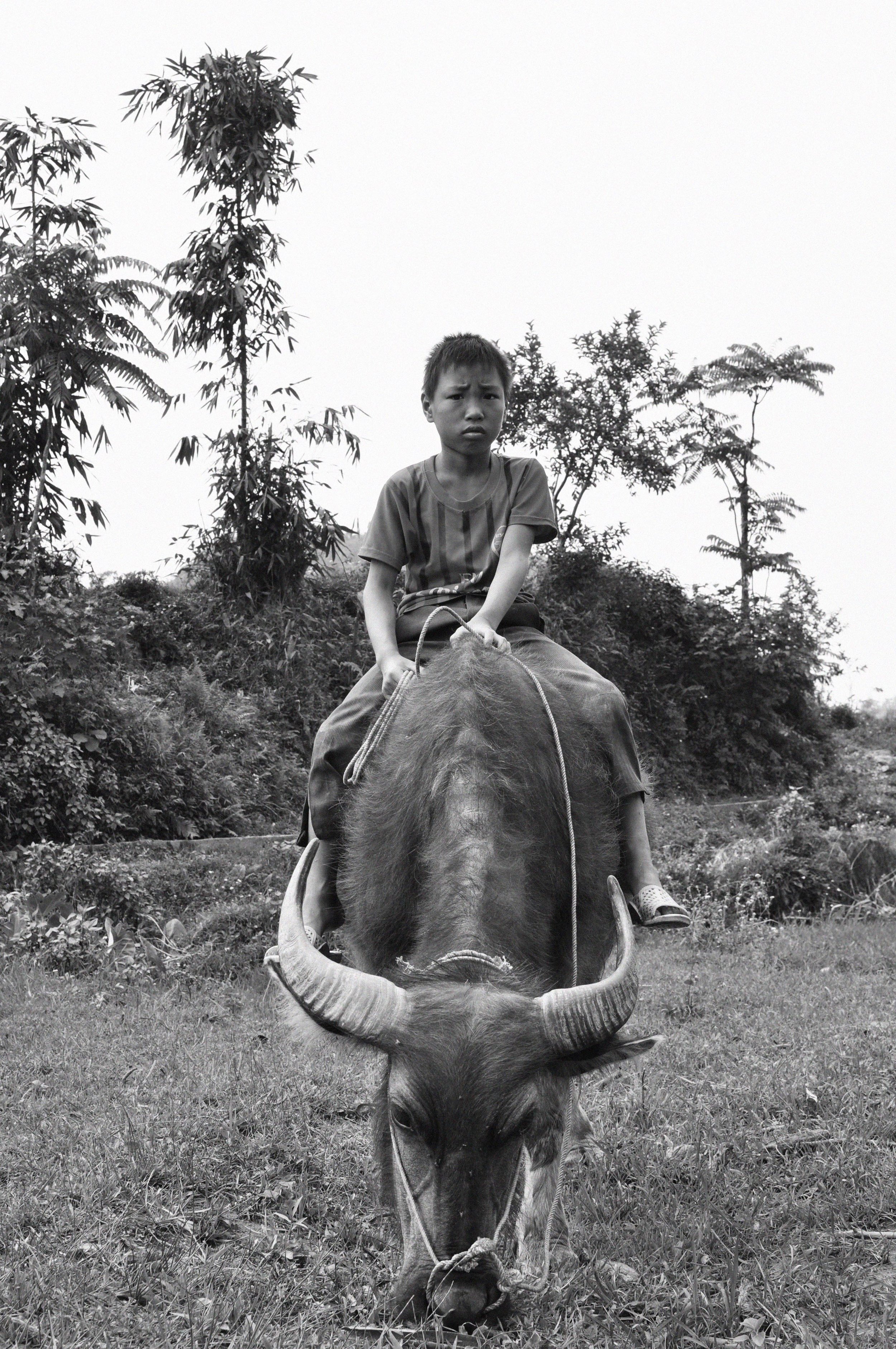 vietnam_4.jpg