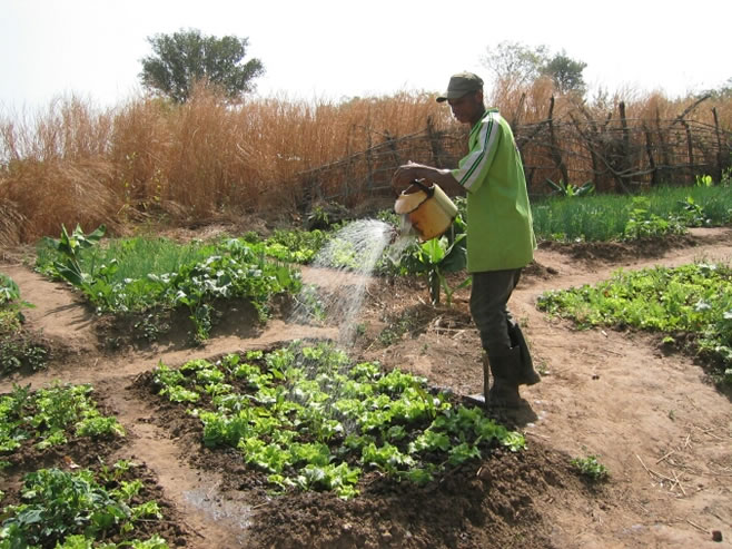 MFM Garden Man.jpg