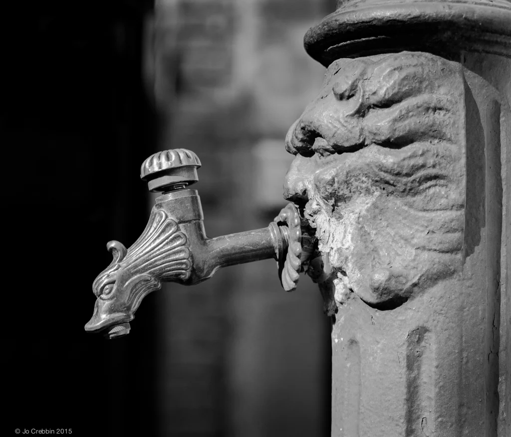 _MG_8364-Edit.jpg