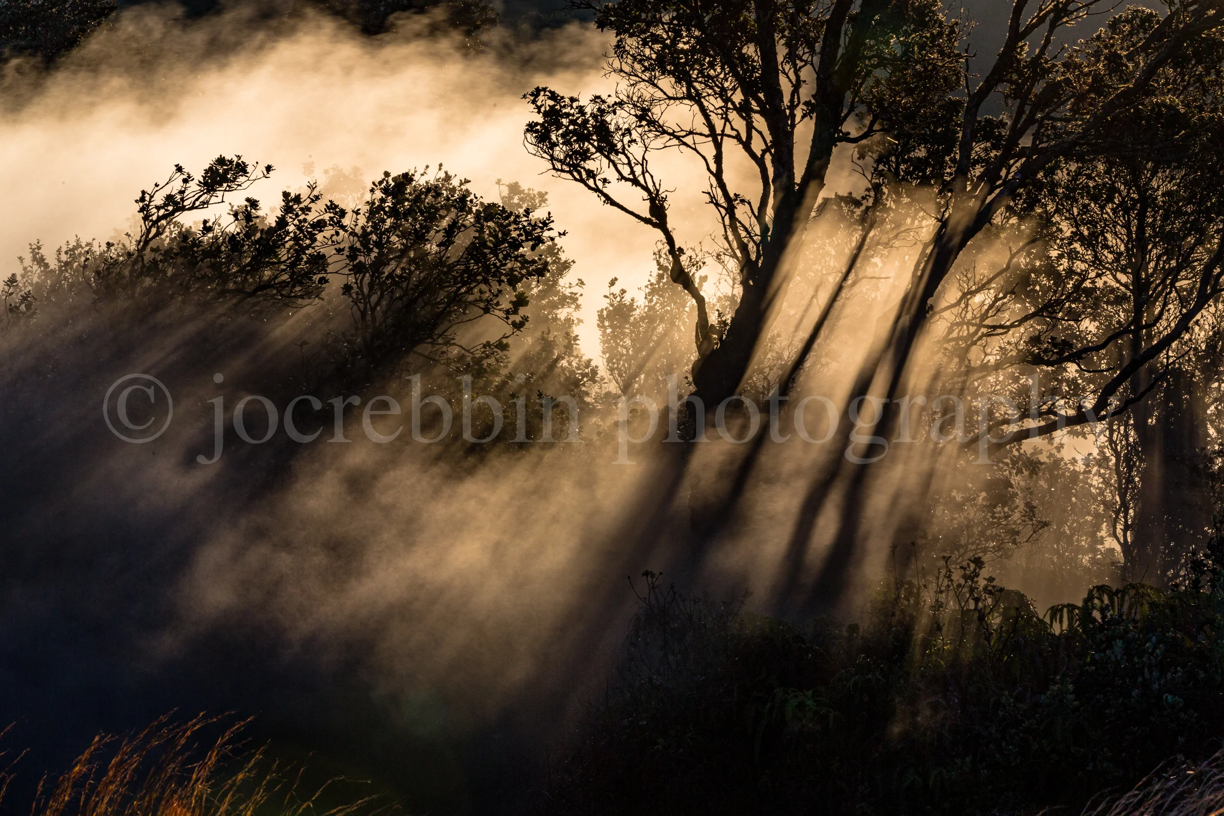 Steaming bluff overlook in Hawaii.jpg