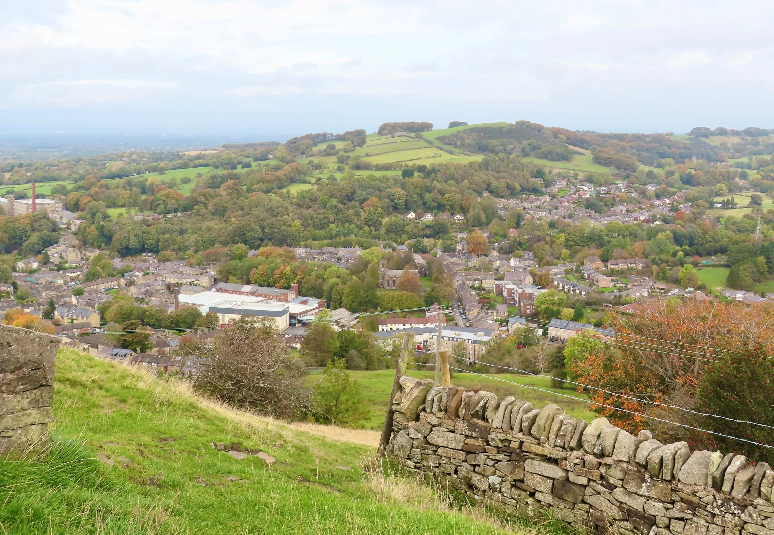 Naming ‘Thistledowns’ The History of Macclesfield Silk — Hollins Homes