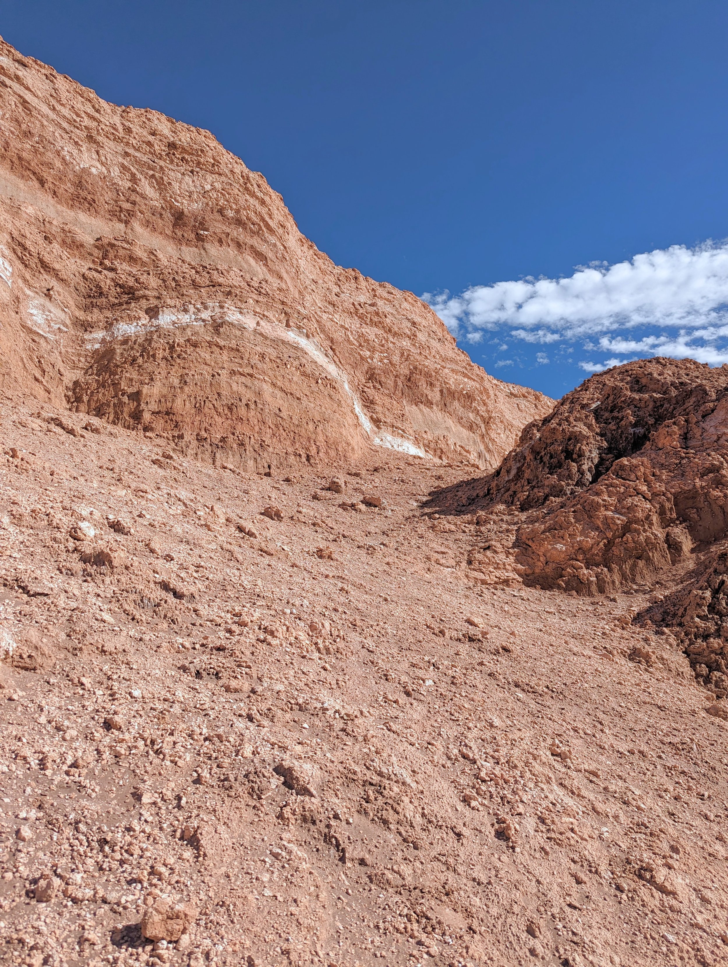Atacama gesso 1.jpg